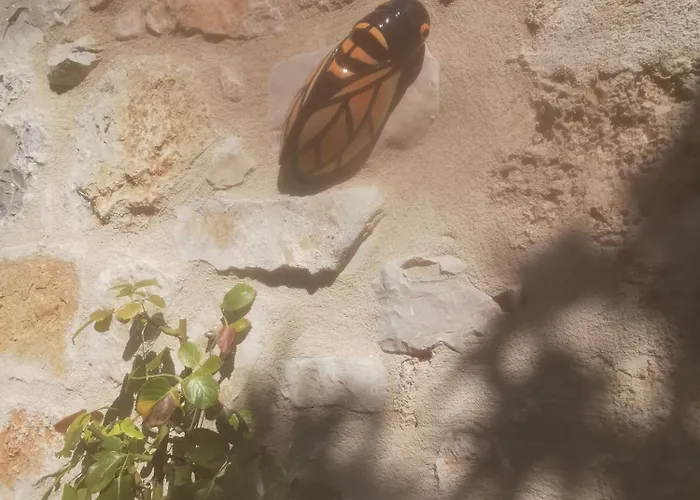 Jas De Marripey