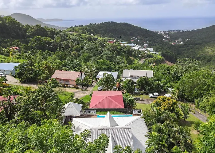Villa Palmier rouge : 3 ch, piscine à débordement, vue mer et végétation