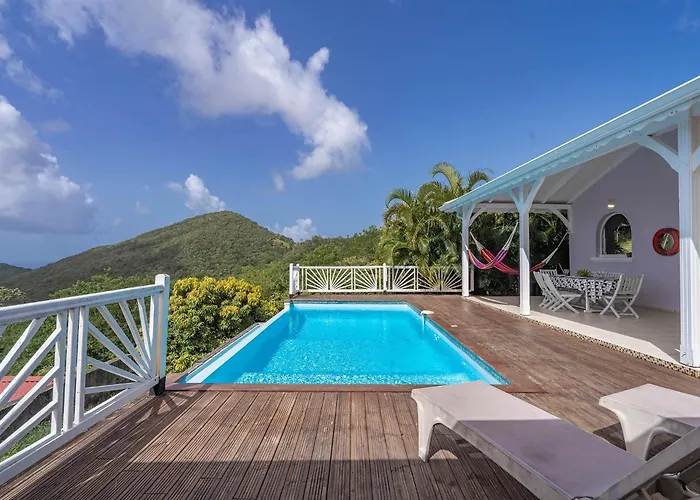 Villa Palmier rouge : 3 ch, piscine à débordement, vue mer et végétation