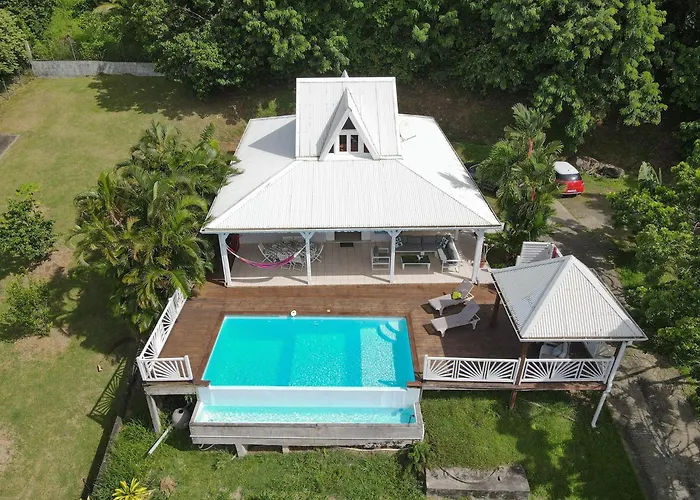Villa Palmier rouge : 3 ch, piscine à débordement, vue mer et végétation
