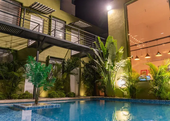 Oasis Tropical
