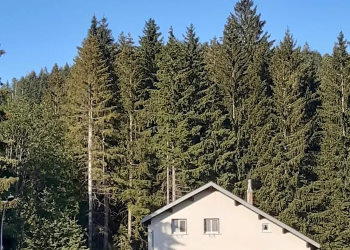 Gîte la fourmilière