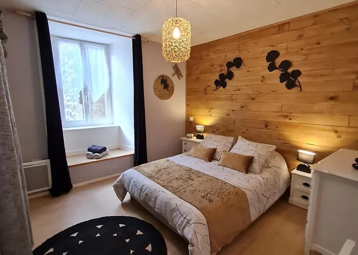 Bel appartement  Les Monts du Cantal 