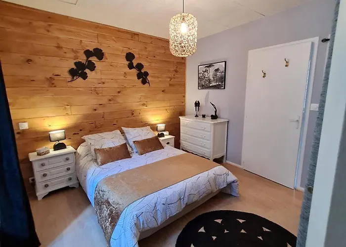 Bel appartement  Les Monts du Cantal 