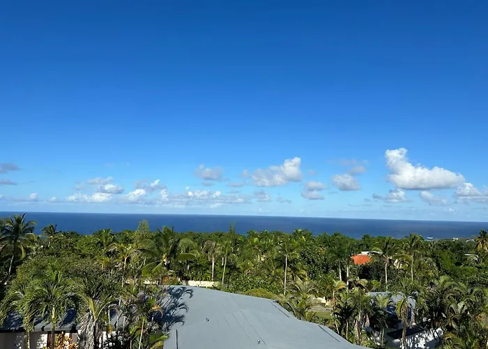 Catalina, Cabrera Oceanview Multi 2 Bd 2 Bath Condo Units With Balcony And Pool