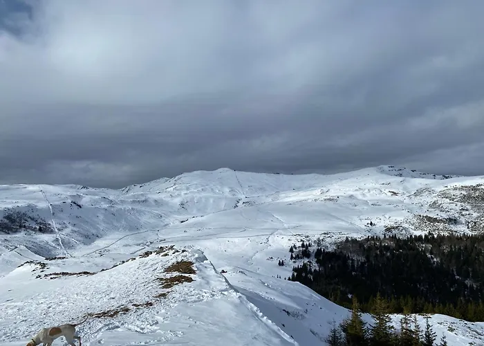 Charmant appartement au cœur des volcans d Auvergne