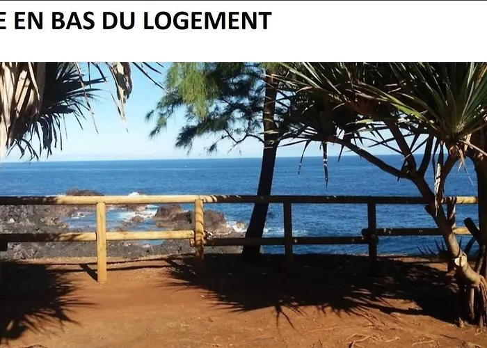 Les lataniers 2 - Vue sur mer