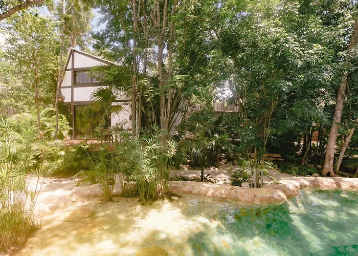 Luxury hotel only: Nahouse Jungle Lodges