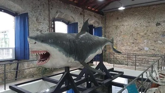Suíte Studio no Centro Histórico, Próxima à Beira Mar