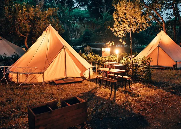 Pigna Felice Le Marze