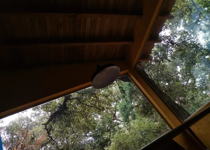 La Cabana Azul Al Fondo Del Bosque De Tepoztlan