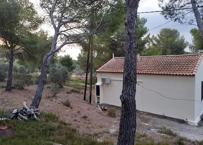 Mazet pleine nature