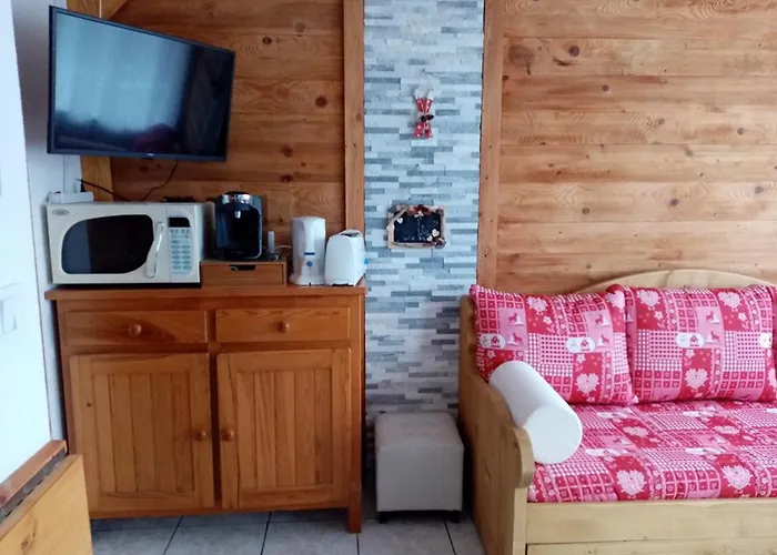 Studio cosy 4 pers, RDC, Sud, à 300m des pistes et 250m commerces, bien équipé, animaux admis. - FR-1-733-116