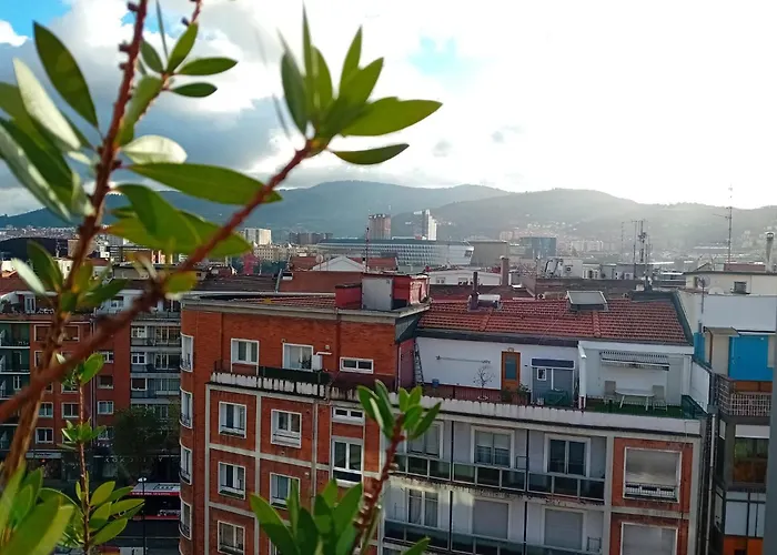 Resort: Estudio Deusto