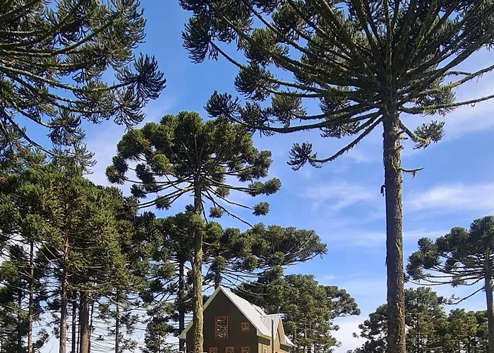 Snow Valley Eco Lodge