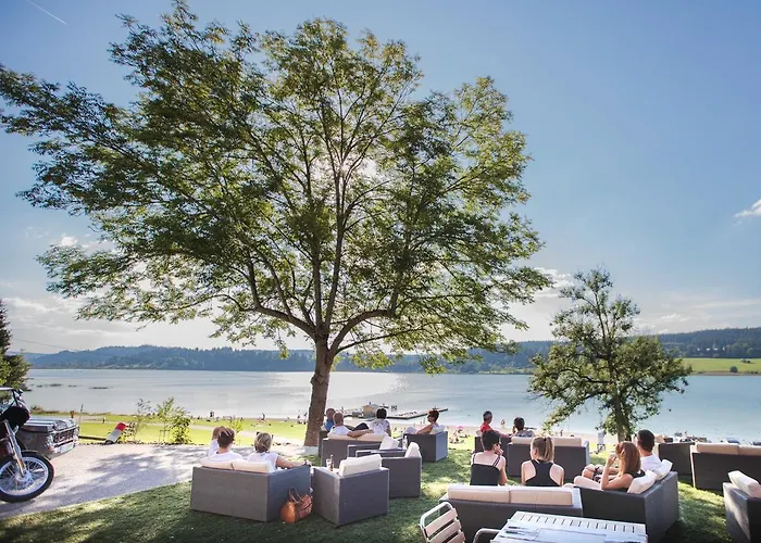 Hôtel accueillant les animaux: Hotel L'Atelier De Donat