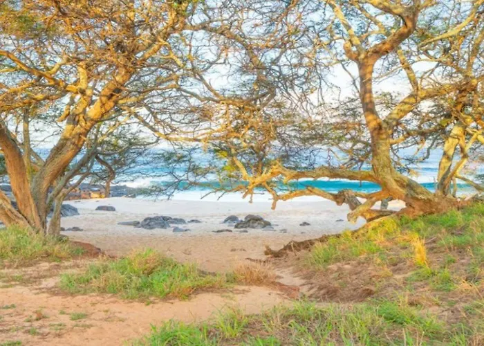 Oceanview Moloka'I Studio