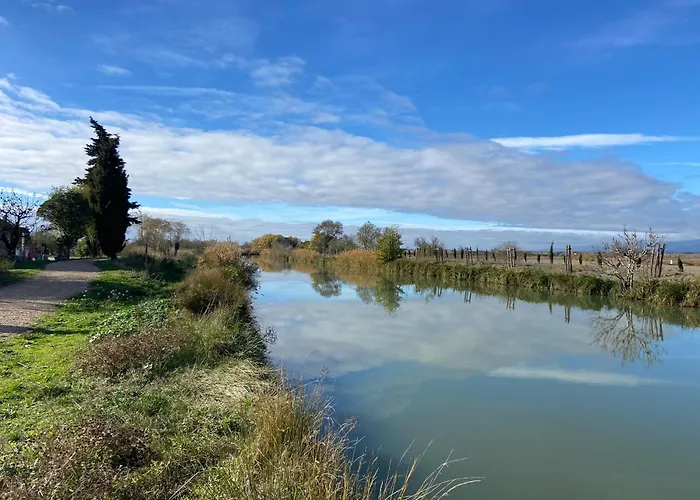 T3 bis bord du canal du midi piscine