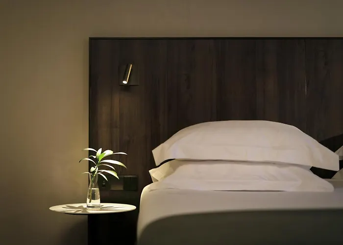 Hôtel accueillant les animaux: Ciutat De Girona