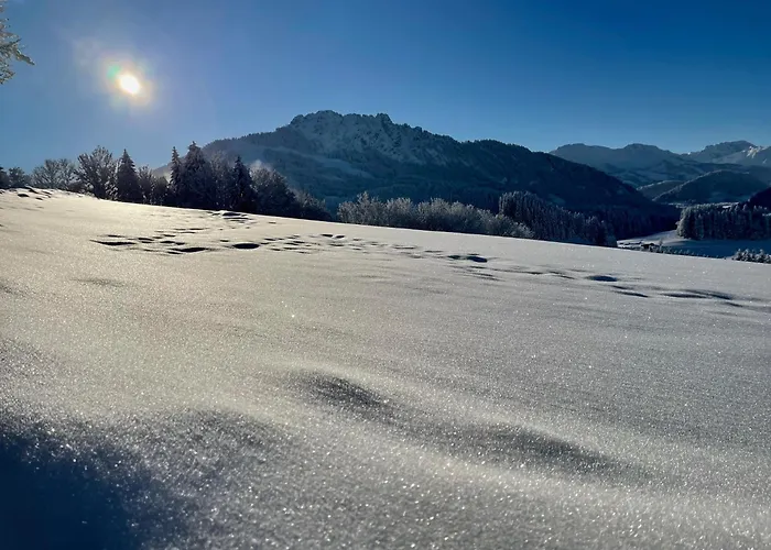Hotel mit Hund Chalet 65