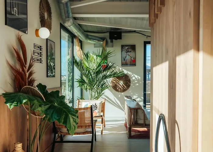 Hôtel accueillant les animaux: JOST Auberge de Jeunesse Montpellier Centre St Roch
