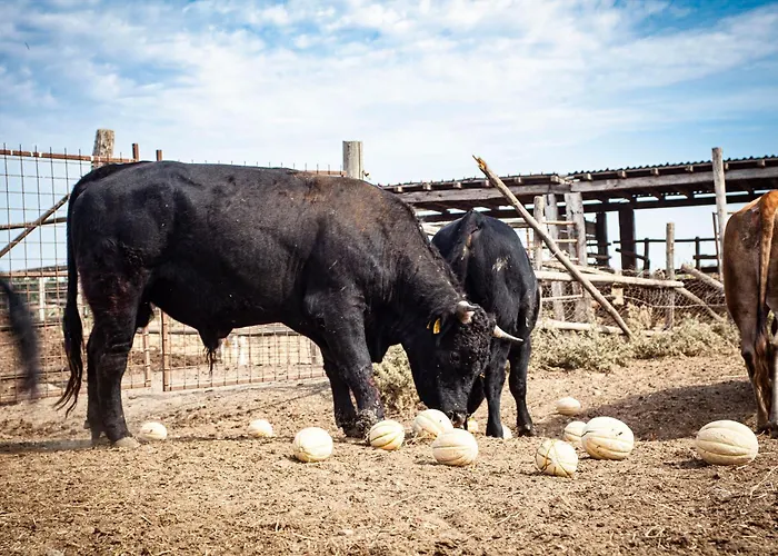 Agriturismo Podere Giulio