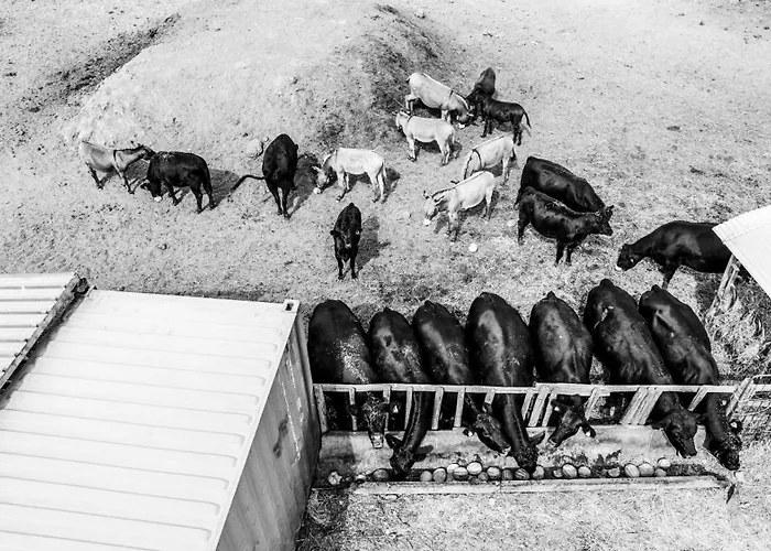 Agriturismo Podere Giulio