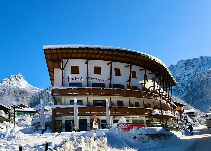 Hotel adatto agli animali: Hotel Des Alpes