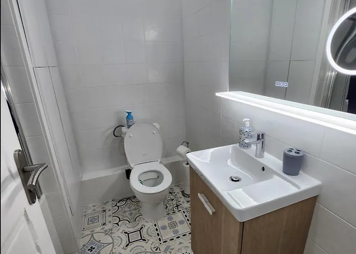Chaleureux appartement refait à neuf