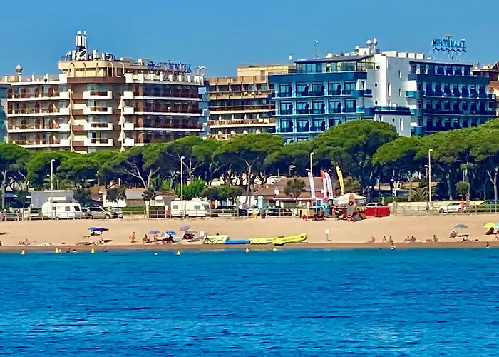 Hôtel accueillant les animaux: Hotel Blaumar