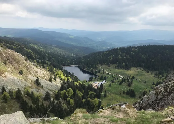 Domaine La Bonne Dame - Hirondelle, au coeur des Vosges