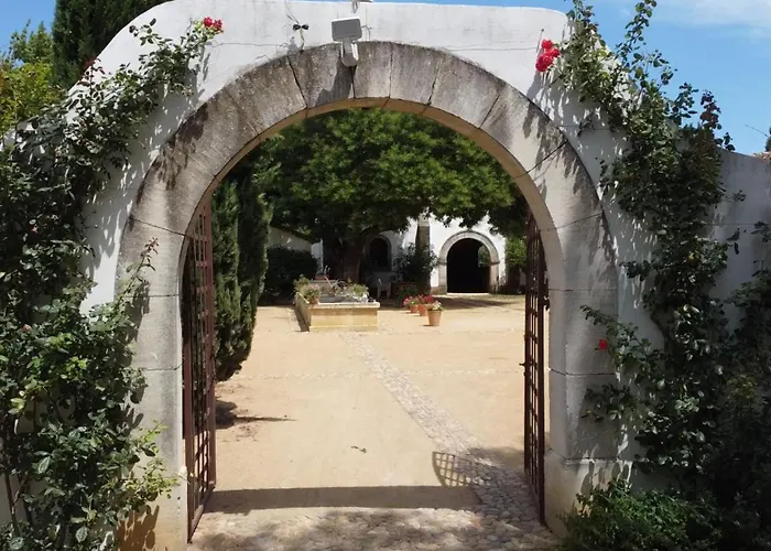 Mas des Bécasses, en Provence - 22 personnes