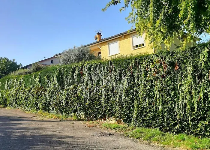 Ma maison fleurie proche aéroport, Eurexpo