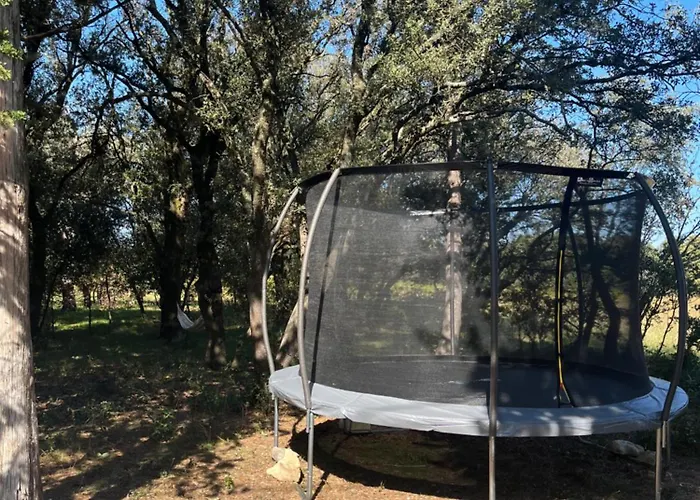 Maisonnette avec petite forêt