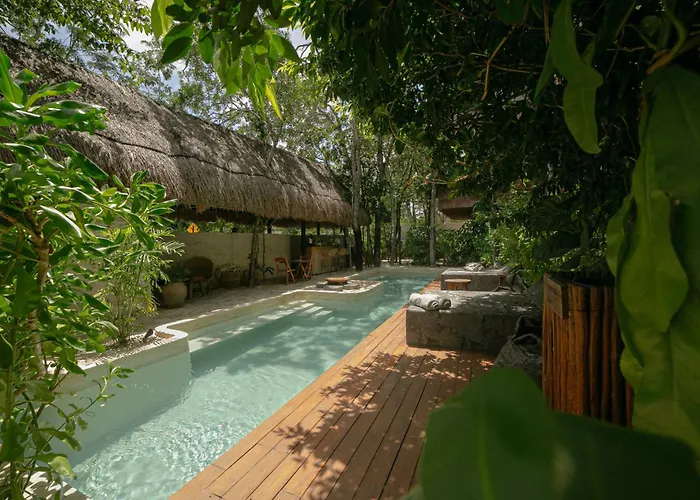 Zereno Beach Club Access