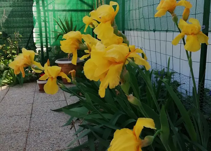 Sous Le Soleil De Provence