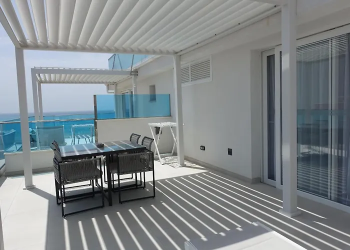 Feelathome Tortuga de Mar