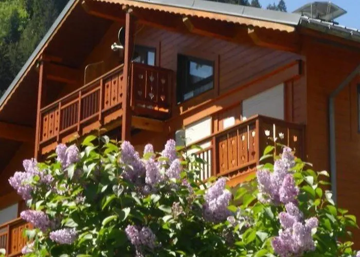 Duplex ski aux pieds pour 6 pers, bien équipé - FR-1-342-193