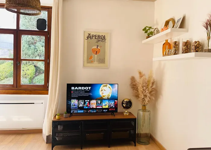 Maison Gabriel - Logement charmant au cœur de la Cité Médiévale - T3 75m2