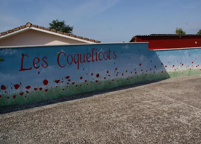 Les Coquelicots