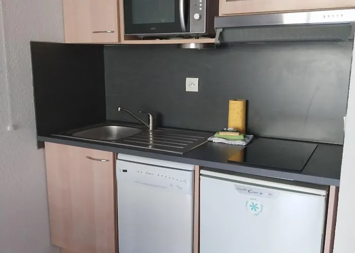 Appartement Hauteurs Super Besse - 4 personnes -Piscine&Garage