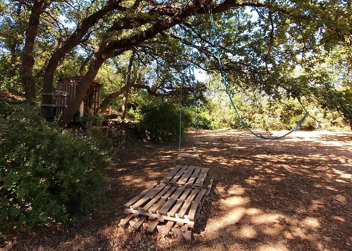 Villa Les palmiers en Provence