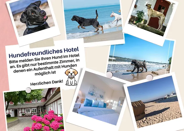 Hof Norderlueck - Das Ostseehotel Unter Reet