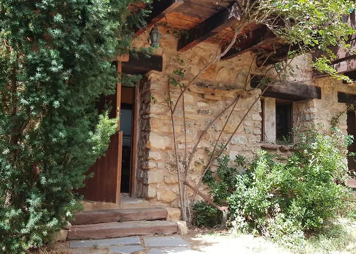 Acebos Del Tajo