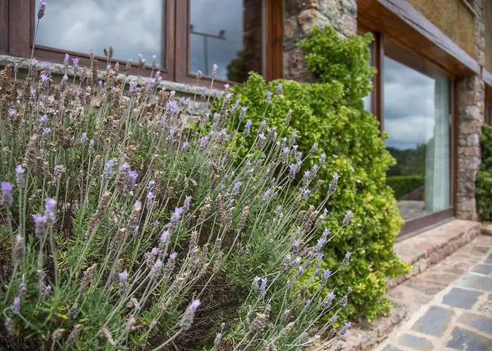 Apartamentos Els Ocells