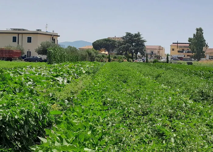 Tenuta San Michele