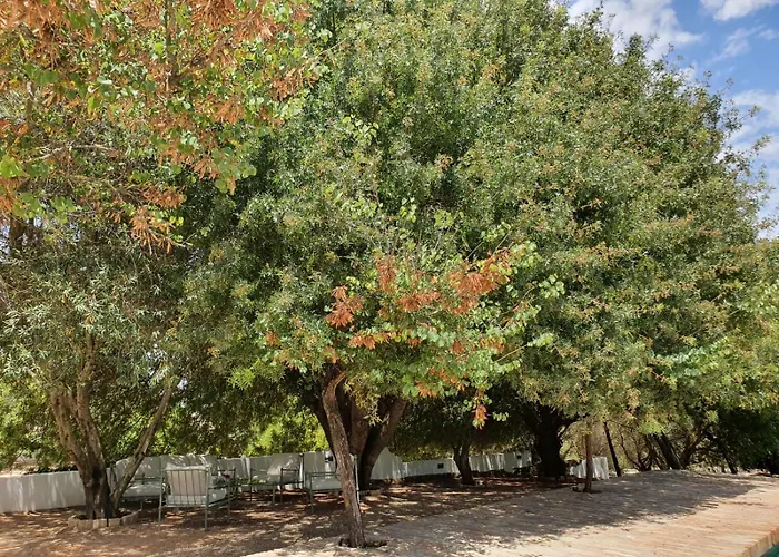  La Carrena