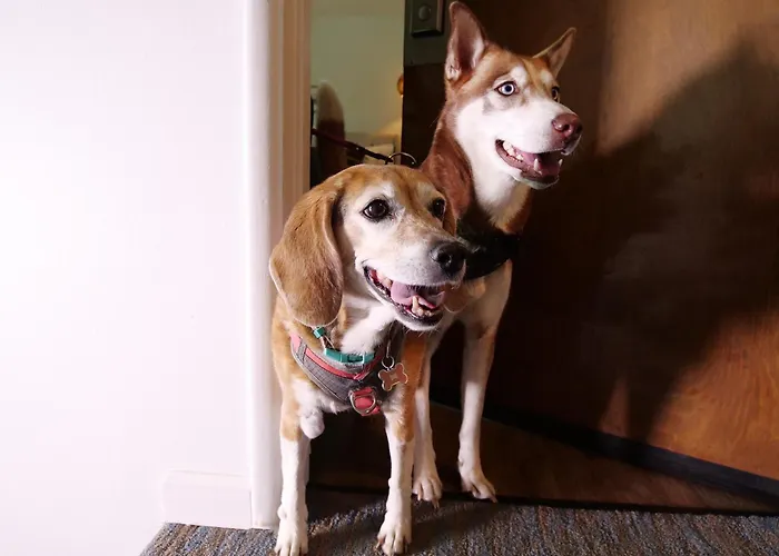 Family Hotel: Sierra Blue Hotel & Swim Club