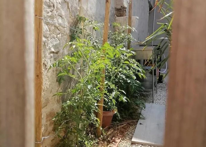 Studio 2 à 4 personnes