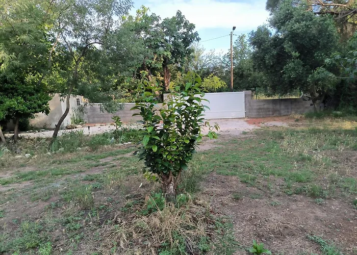location saisonnière curiste